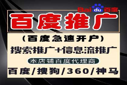 百度推广竞价全解析：某电商平台的营销策略